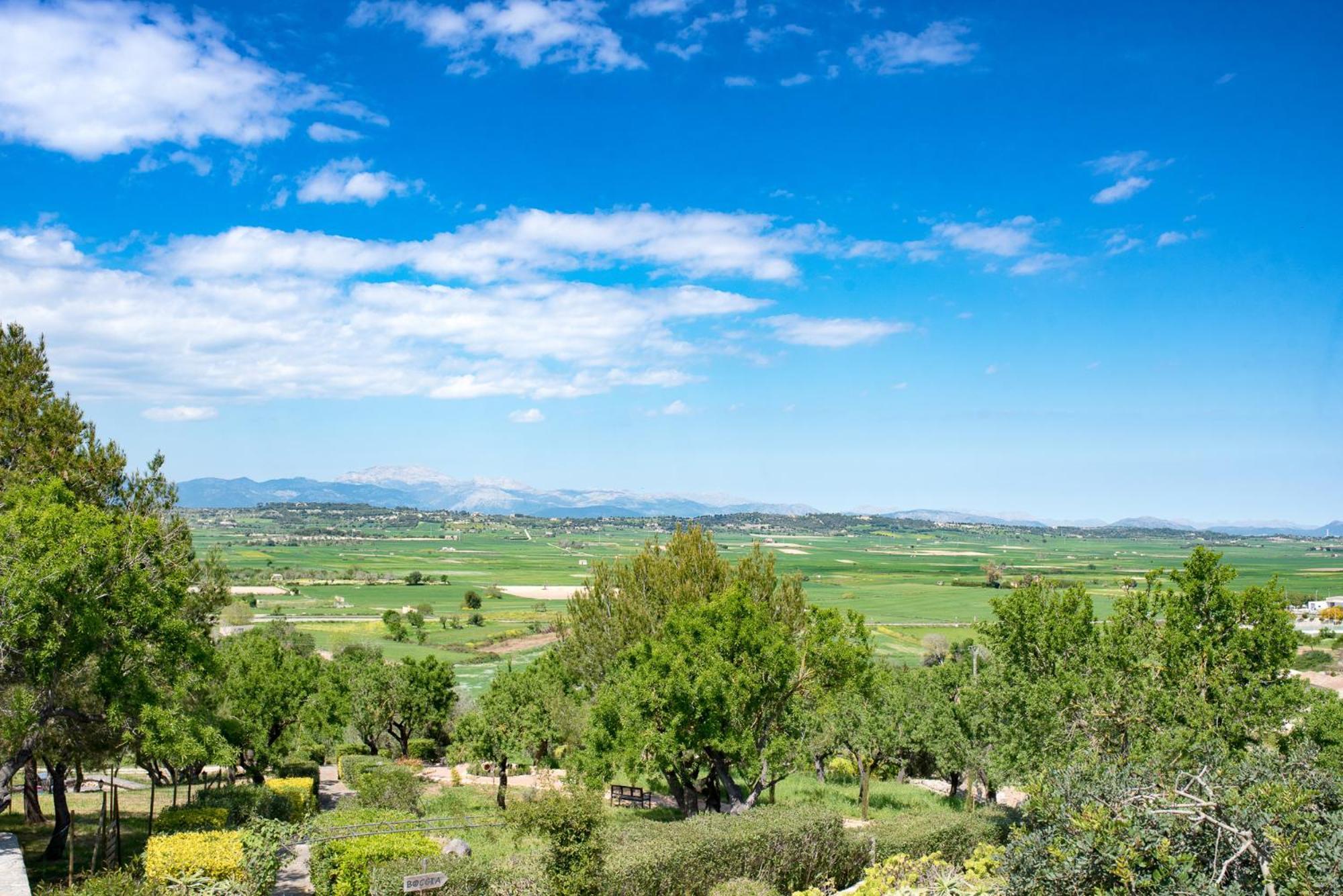 Casa Font I Roig Ξενοδοχείο María de la Salud Εξωτερικό φωτογραφία