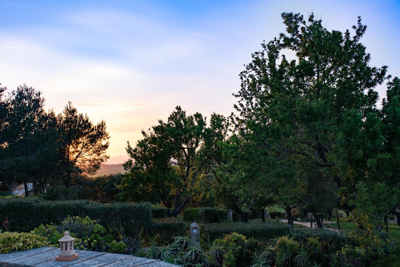 Casa Font I Roig Ξενοδοχείο María de la Salud Εξωτερικό φωτογραφία